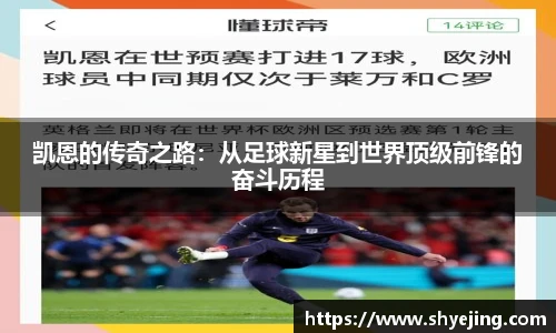 熊猫体育官网