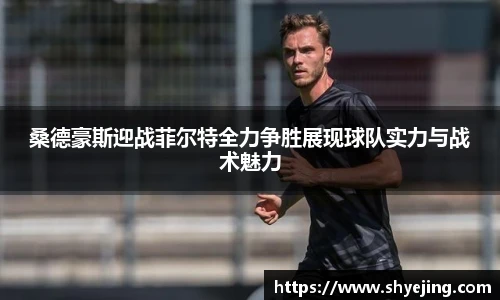 熊猫体育平台